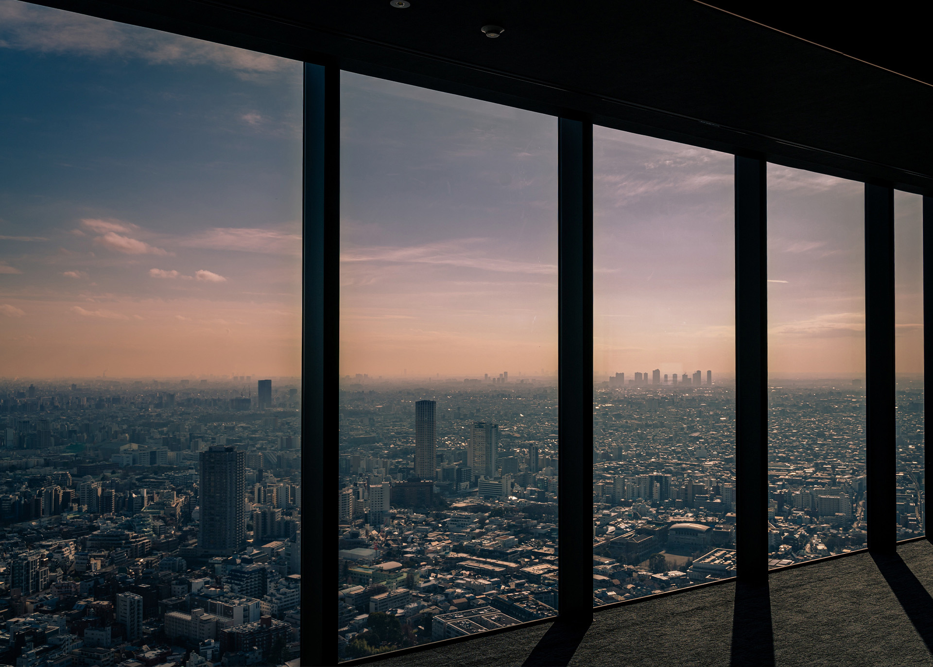 私たちについて